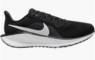 Nike Pegasus