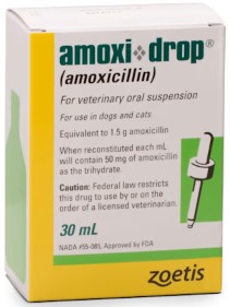 amoxi-drop amoxi-drop