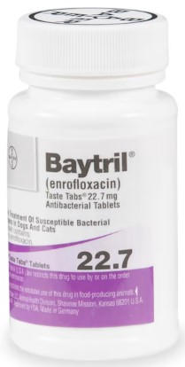 baytril-227-mg-taste-tab-tablets baytril-227-mg-taste-tab-tablets
