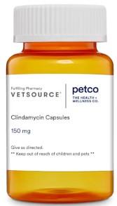 clindamycin clindamycin