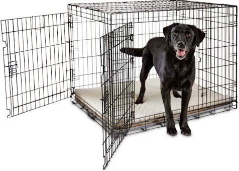 everyyay-happy-place-2-door-dog-crate everyyay-happy-place-2-door-dog-crate