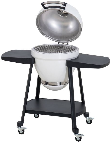 Sunjoy-20-in.-Charcoal-Grill-Egg-shaped-Outdoor-Grill-with-Pizza-Stone-Ultimate-BBQ-Grill-and-Smoker-with-Wheels national-geographic-kids-dangerous-dinosaurs-sound-book-by-pi-kids-mixed-media-product