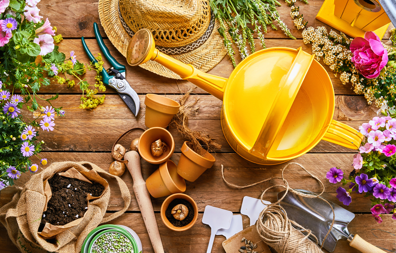 Essential Garden Tools for Beginner Gardeners