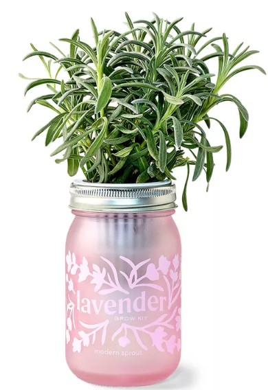 modern-sprout-lavender-purple-pint-jar-grow-kit rotoshovel-handheld-electric-garden-hand-trowel