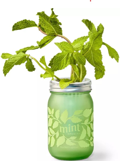 modern-sprout-mint-green-pint-jar-grow-kit greenworks-powerall-12-34-24v-cordless-string-trimmer-edger-kit-with-2-0ah-battery-38-charger