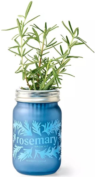 modern-sprout-rosemary-green-pint-jar-grow-kit 12-in-1-multi-functional-trimming-tool-garden-tools-shears-gardening-tools-system-with-pole-saw-hedge-trimmer