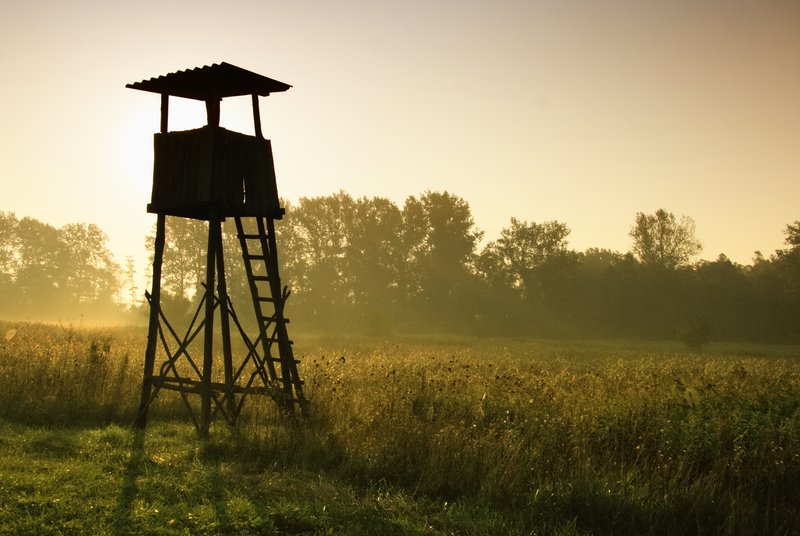 Whitetails to Waterfowl: 10 Picks That Track With Every Hunt