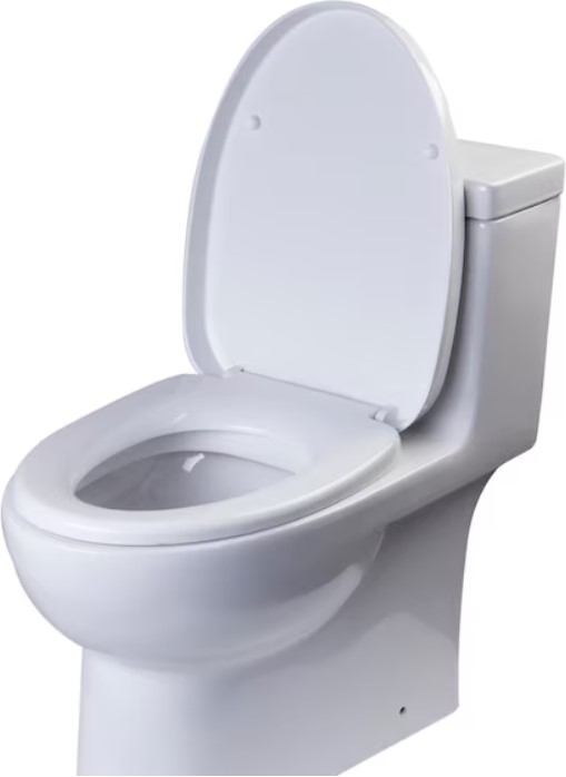 EAGO-White-WaterSense-Dual-Flush-Elongated-Standard-Height-Toilet-12-in-Rough-In-Size disney-junior-mickey-mouse-clubhouse-sing-along-songs-sound-book-by-pi-kids-mixed-media-product