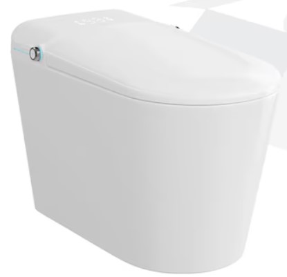 Eridanus-Achernar-White-Elongated-Chair-Height-1-Piece-Smart-Soft-Close-Toilet-12-in-Rough-In-with-Bidet-1-28-GPF disney-junior-mickey-mouse-clubhouse-sing-along-songs-sound-book-by-pi-kids-mixed-media-product