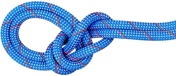mammut-crag-classic-rope-9.5mm national-geographic-kids-dangerous-dinosaurs-sound-book-by-pi-kids-mixed-media-product