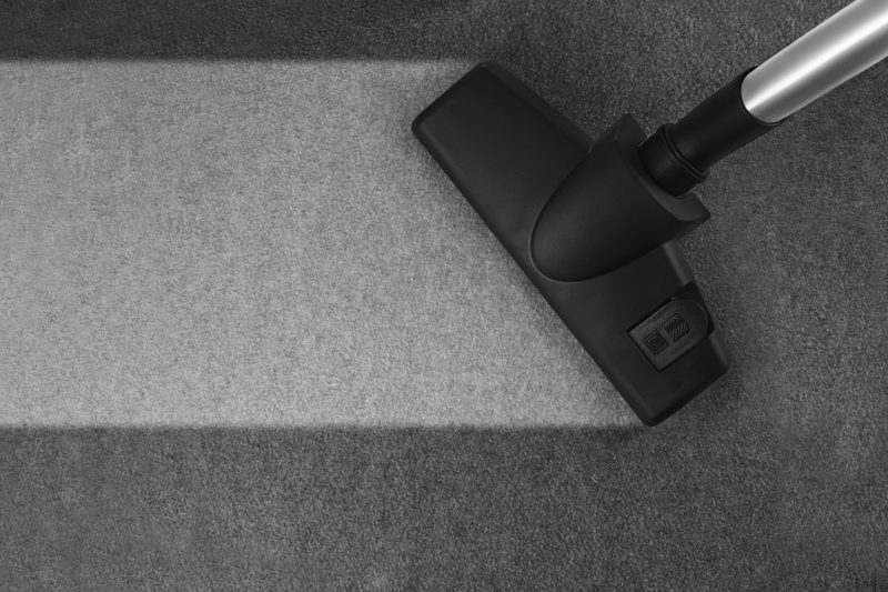 Vacuums That Don’t Suck (Except at Cleaning): Top 10 You’ll Love